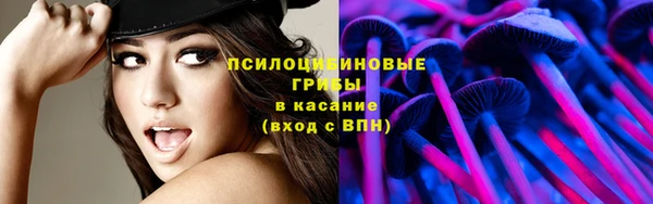 а пвп мука Абаза