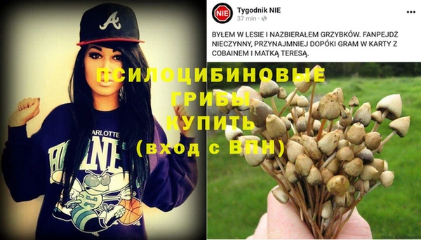крисы Абинск