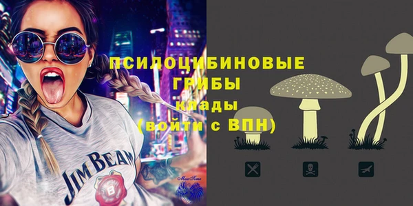 а пвп мука Абаза