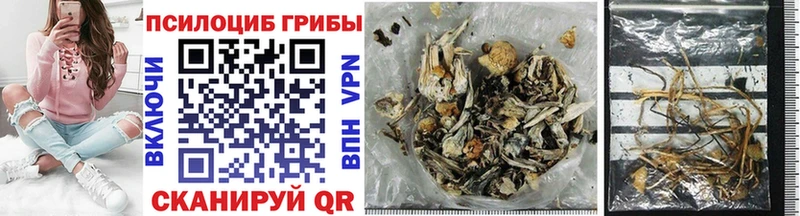 Псилоцибиновые грибы Cubensis Абинск